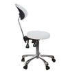 Silverfox Rolling Stool with Backrest 1025B