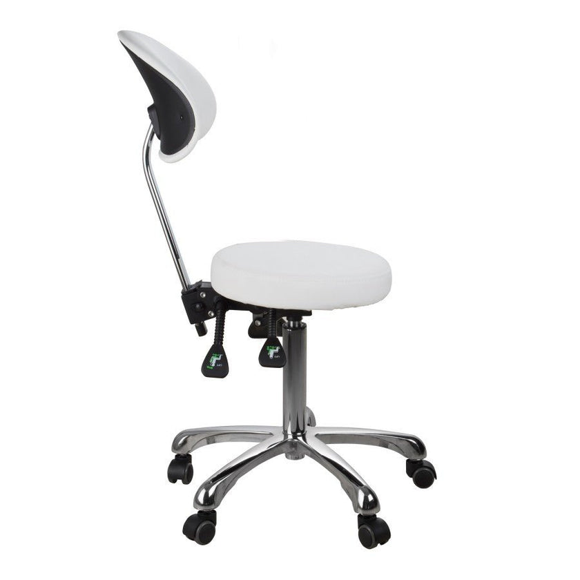 Silverfox Rolling Stool with Backrest 1025B
