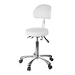 Silverfox Rolling Stool with Backrest 1025B