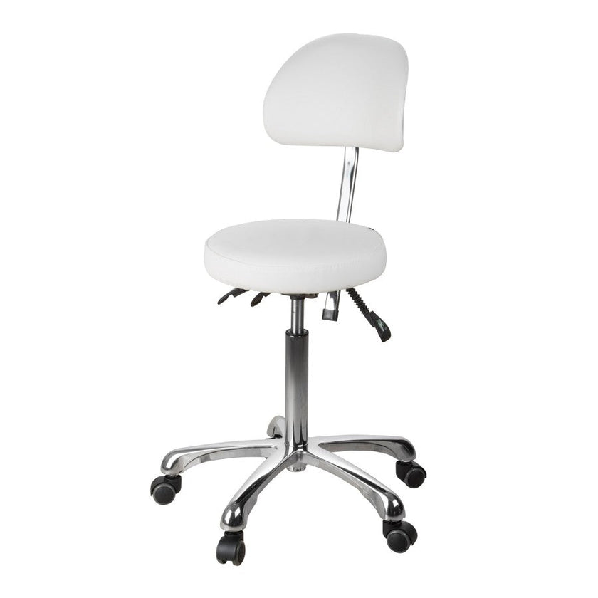Silverfox Rolling Stool with Backrest 1025B