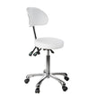 Silverfox Rolling Stool with Backrest 1025B