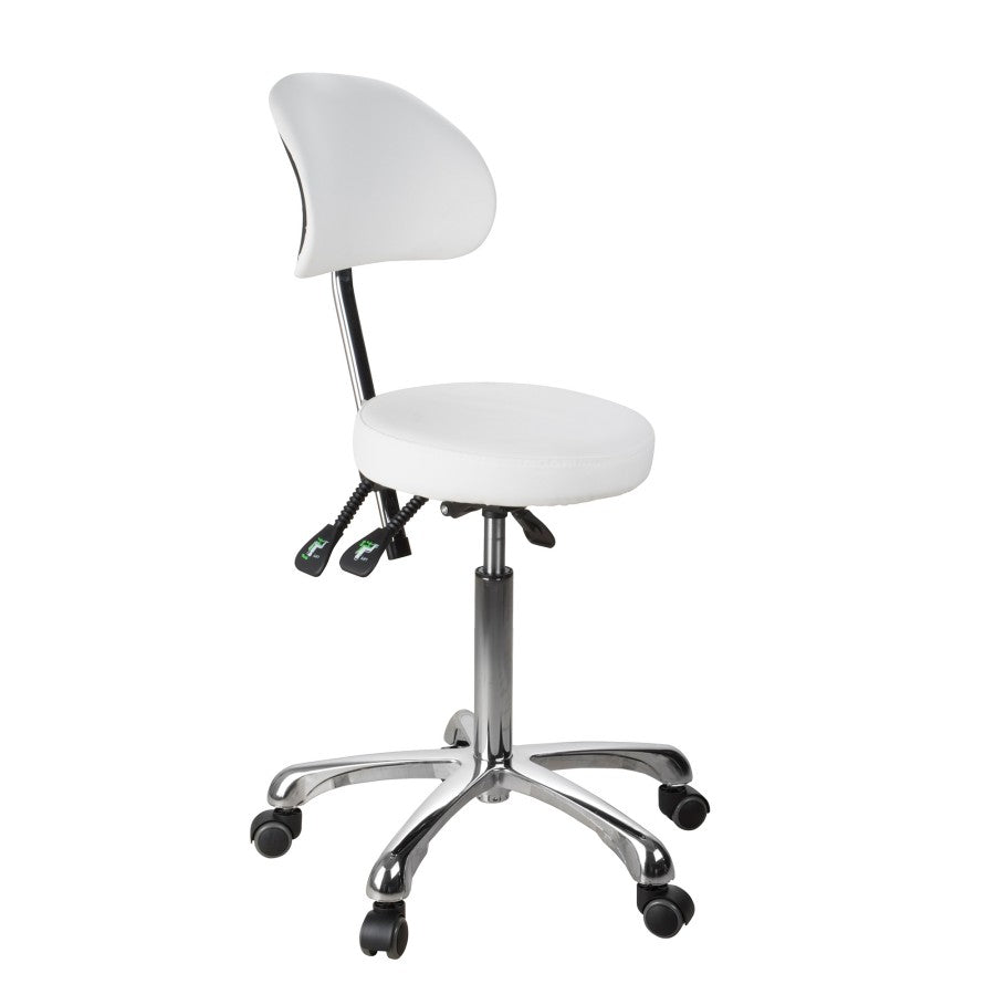 Silverfox Rolling Stool with Backrest 1025B