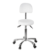 Silverfox Rolling Stool with Backrest 1025B