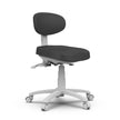 Silverfox ® Top Grade Ultimate Physician Rolling Stool with Tilt 8C01