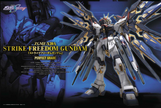 1\60 PG Strike Freedom