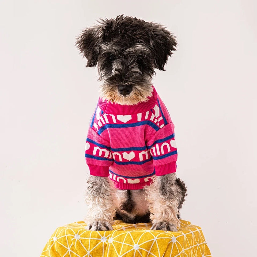 Min Min Dog Sweater – Cozy Knit Outfit for Dogs