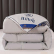 Downfull Spring And Autumn Winter Duvet Thickened Velvet Quilt Comforter