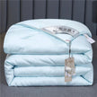 Summer Quilt Spring And Autumn Thickening Thermal Winter Duvet