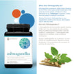 Youtheory Ashwagandha 7,200 mg Per Serving, with Clinically Proven KSM-66 and GingeverGinger to Support the Efficacy of Ashwagandha. Helps Increase Resistance to Stress and Anxiety, Vegan, 60 Capsules 🍁 All In One Marketplace Canada