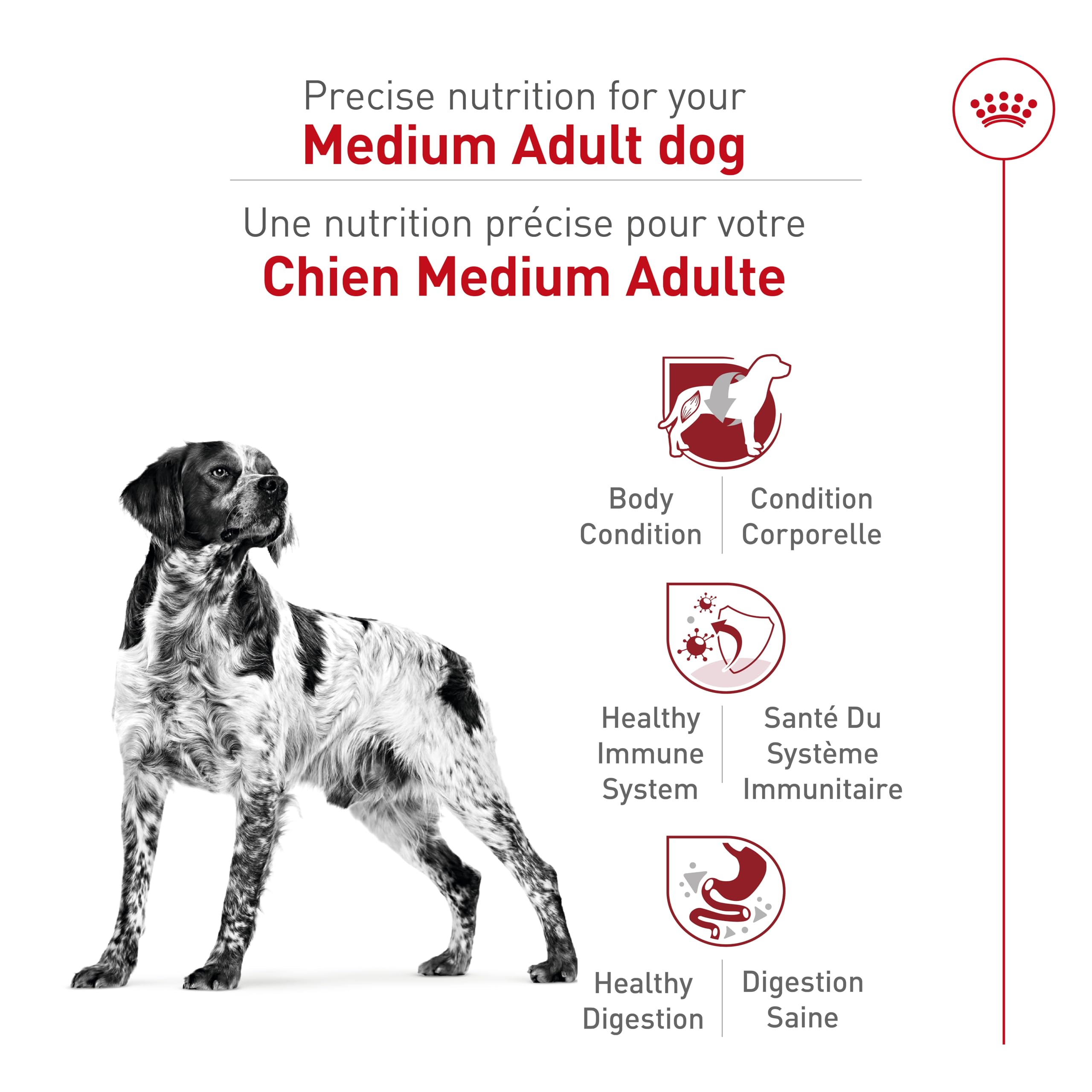 Royal Canin Size Health Nutrition Medium Adult Dry Dog Food, 4 lb 🍁 All In One Marketplace Canada