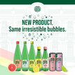Maison Perrier Forever Lime, Sparkling Water Beverage, 24 x 330ml 🍁 All In One Marketplace Canada