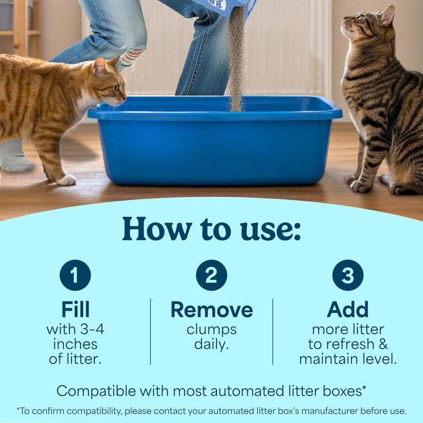 Fresh Step Clumping Cat Litter with Febreze Gain Scent, Long Lasting Odor Control Kitty Litter with Activated Charcoal, Low Dust Formula, 14 lb 🍁 All In One Marketplace Canada