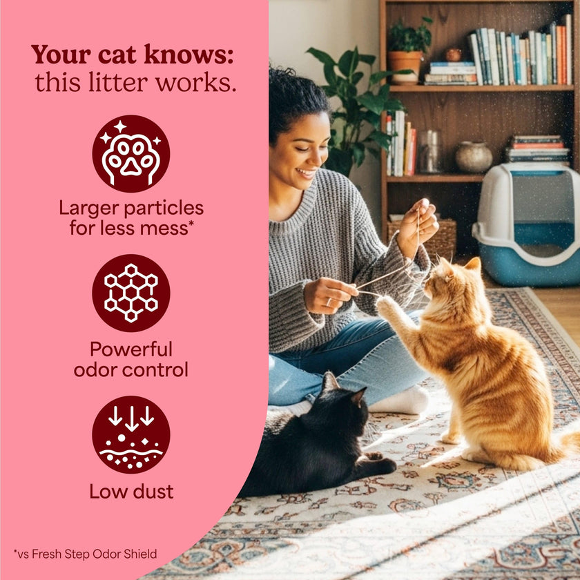 Fresh Step Advanced Clean Paws Multi Cat 18.5lb 🍁 All In One Marketplace Canada
