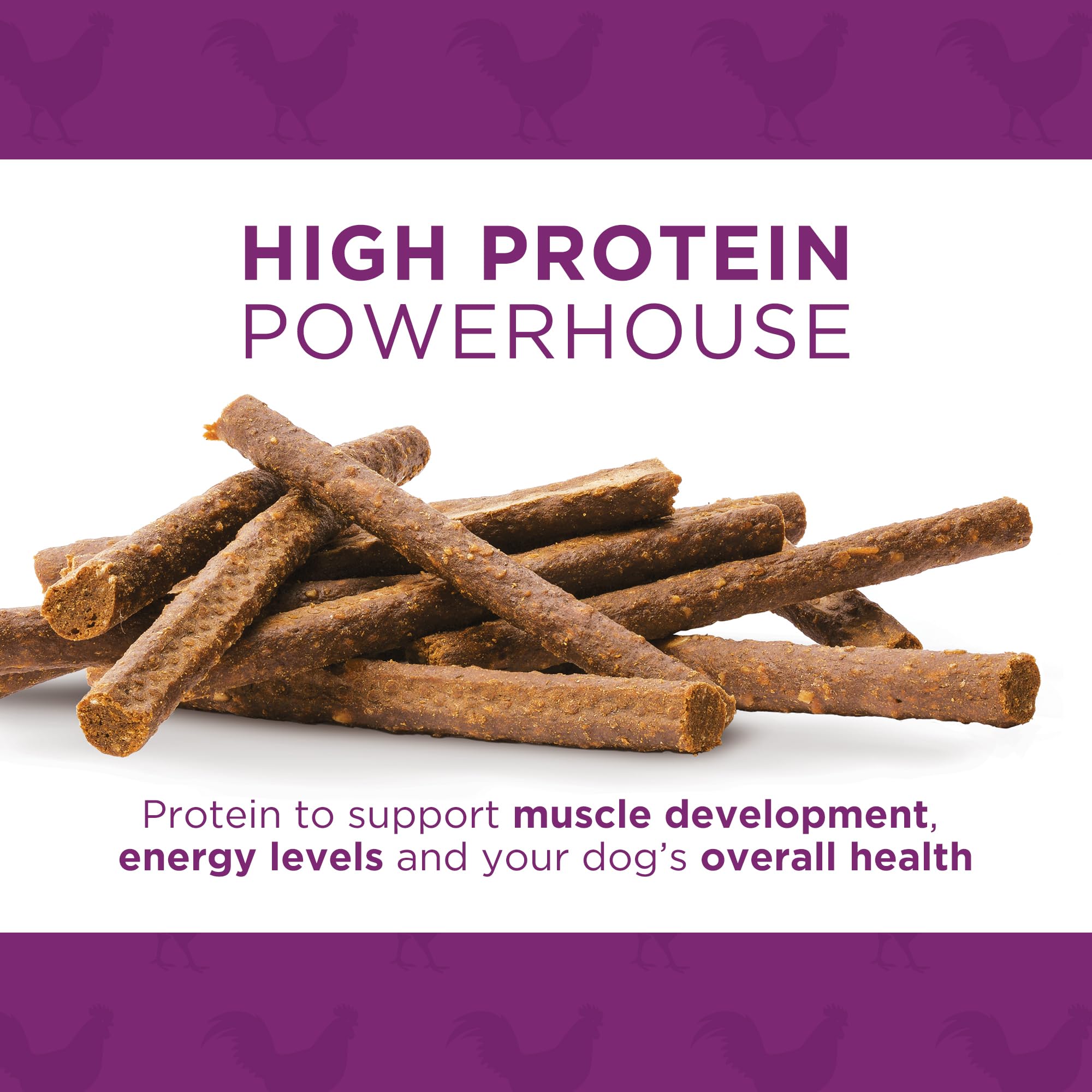 Dog Delights Chewy Chicken Sticks, All Natural & Preservative Free Training Dog Treats - 1.25 kg 🍁 All In One Marketplace Canada