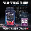 Vega Protein + Recovery, Berry – 30g Vegan Protein, Dairy & Gluten Free, Probiotics, NSF Certified, 801 g (19 Servings) 🍁 All In One Marketplace Canada