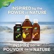 Nature's Way NutraSea Omega 3 Fish Oil Liquid Supplement – Zesty Lemon Flavour, Non-GMO – Heart & Brain Support – EPA & DHA, 500 mL 🍁 All In One Marketplace Canada