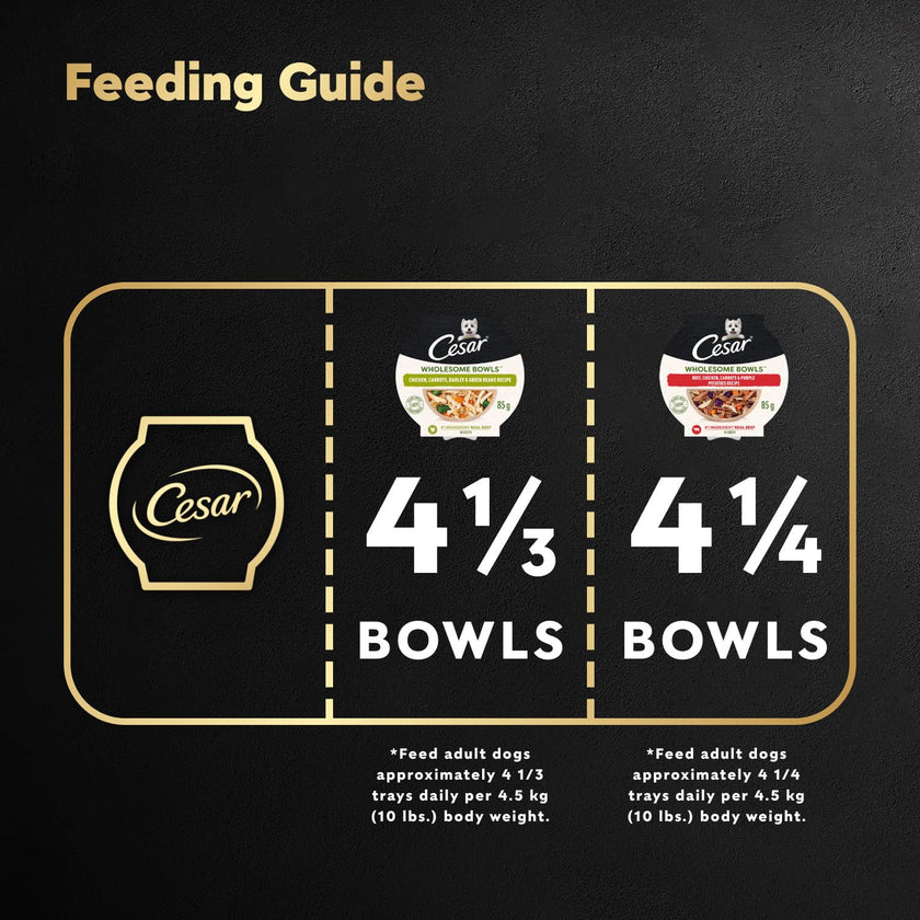 CESAR Wholesome Bowls Adult Wet Dog Food, Chicken Flavour, 85g (6 Pack) 🍁 All In One Marketplace Canada