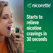 Nicorette QuickMist Nicotine Mouth Spray 1mg, Mint – NRT, 2 x 150 Sprays 🍁 All In One Marketplace Canada