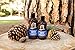 Dr. Squatch - Fresh Falls Conditioner (340ml)