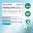 Vitamin B1 Benfotiamine 100mg - High Absorption Energy & Metabolism Support - Highly Bioavailable Thiamine B1 Supplement to Support Energy Production & Metabolism - Made in Canada, Non-GMO - 120 Ct 🍁 All In One Marketplace Canada