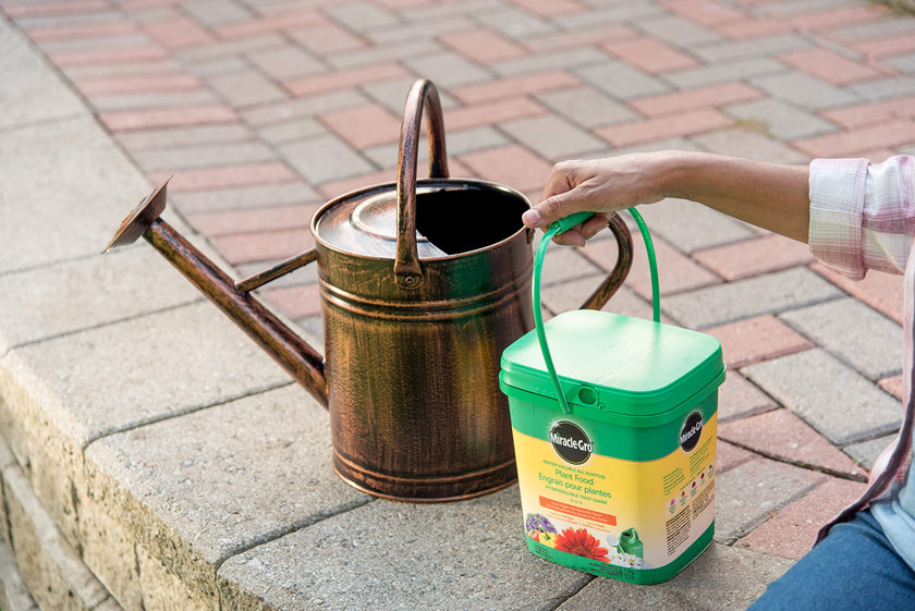 Miracle-Gro Water Soluble All Purpose Plant Food, 1.5kg | Instantly Feeds All Flowers, Veggies, Trees & Shrubs for Bigger, More Beautiful Plants 🍁 All In One Marketplace Canada