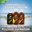 Nature's Way NutraSea Omega 3 Fish Oil Liquid Supplement – Zesty Lemon Flavour, Non-GMO – Heart & Brain Support for Adults and Kids Ages 1+ – 1250mg EPA & DHA, 200 mL 🍁 All In One Marketplace Canada