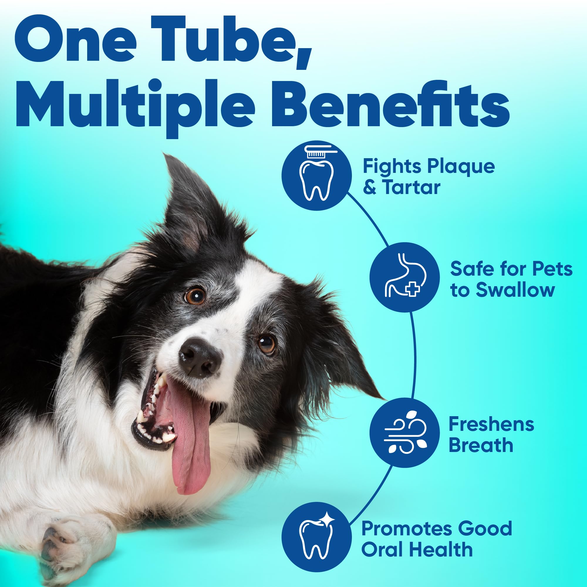 Virbac C.E.T. Enzymatic Toothpaste, Tartar Control, Seafood Flavor, 2.5 oz [packing may vary] 🍁 All In One Marketplace Canada