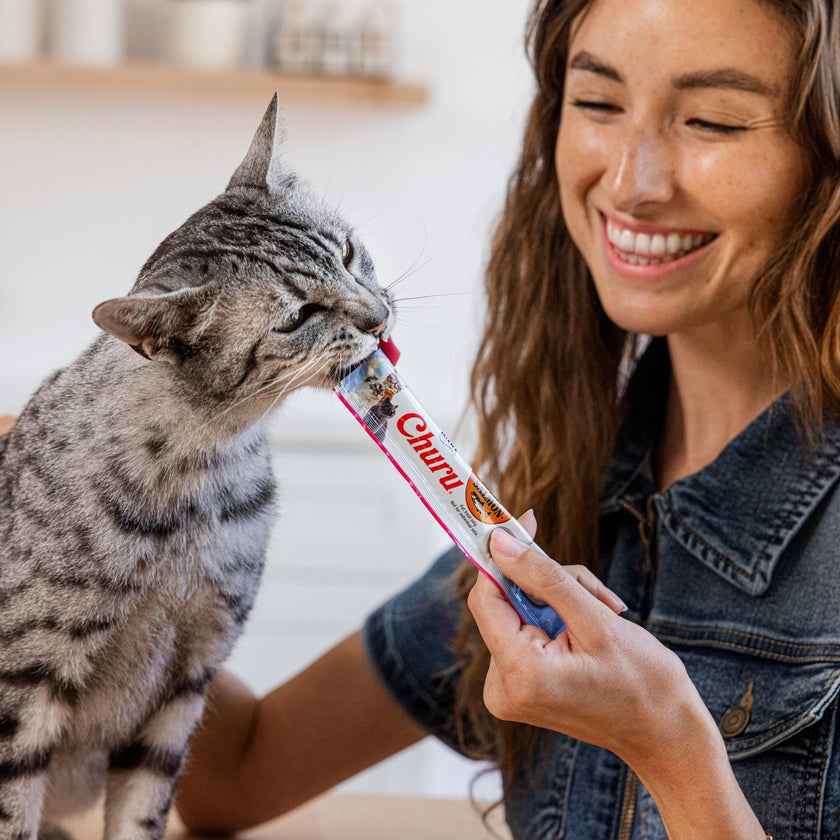 INABA Salmon Churu Cat Treats, Lickable, Squeezable Creamy Purée Cat Treat with Green Tea Extract & Taurine, 14 Grams Each Tube, 20 Tubes, Salmon & Tuna Variety Box 🍁 All In One Marketplace Canada