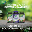 Nature's Way Sambucus Immune Cold and Flu Care Elderberry Gummies with Vitamin C and Zinc - Immune Support for Kids 4+, 60 Gummies 🍁 All In One Marketplace Canada
