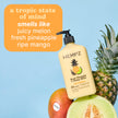 Hempz Sweet Pineapple & Honey Melon Moisturizing Skin Lotion, Natural Hemp Seed Herbal Body Moisturizer with Jojoba, Natural Extracts, Vitamin A and E, 17 oz 🍁 All In One Marketplace Canada