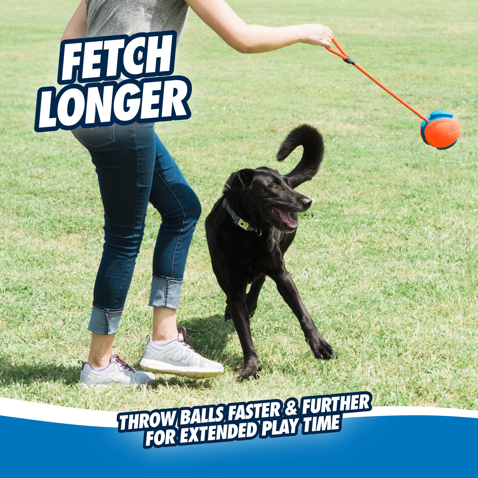 CHUCKIT! 32220 Pet Supplies Dog Toys 🍁 All In One Marketplace Canada