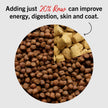 Stella & Chewy’s Freeze Dried Raw Super Beef Meal Mixer – Dog Food Topper for Small & Large Breeds – Grain Free, Protein Rich Recipe – 992g Bag 🍁 All In One Marketplace Canada