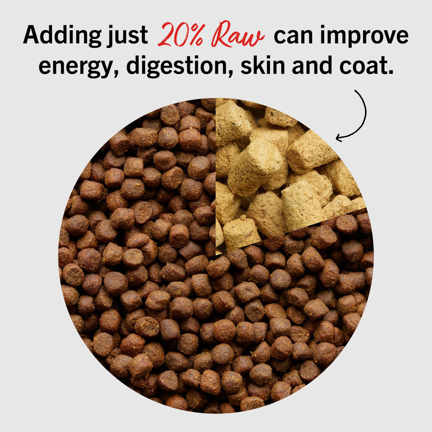 Stella & Chewy’s Freeze Dried Raw Super Beef Meal Mixer – Dog Food Topper for Small & Large Breeds – Grain Free, Protein Rich Recipe – 227g Bag 🍁 All In One Marketplace Canada