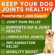 Glucosamine for Dogs w/Chondroitin - Hip & Joint Supplement for Dogs - MSM, Omega to Improve Mobility & Energy - Natural Joint Pain Relief - 120 Chews (Chicken) 🍁 All In One Marketplace Canada