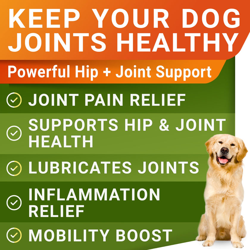 Glucosamine for Dogs w/Chondroitin - Hip & Joint Supplement for Dogs - MSM, Omega to Improve Mobility & Energy - Natural Joint Pain Relief - 120 Chews (Chicken) 🍁 All In One Marketplace Canada