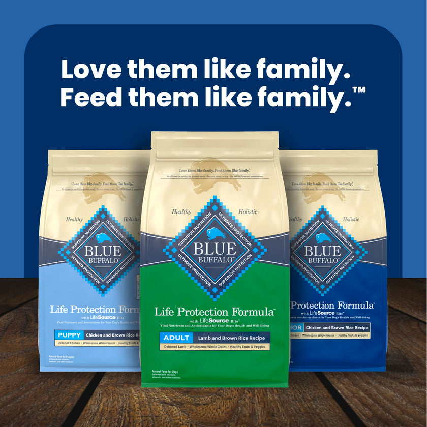 Blue Buffalo Life Protection Formula Lamb & Brown Rice Adult Dry Dog Food, Supports Immunity with Antioxidant-Rich LifeSource Bits, Promotes Healthy Muscle Development, 11.7kg/26 lbs 🍁 All In One Marketplace Canada