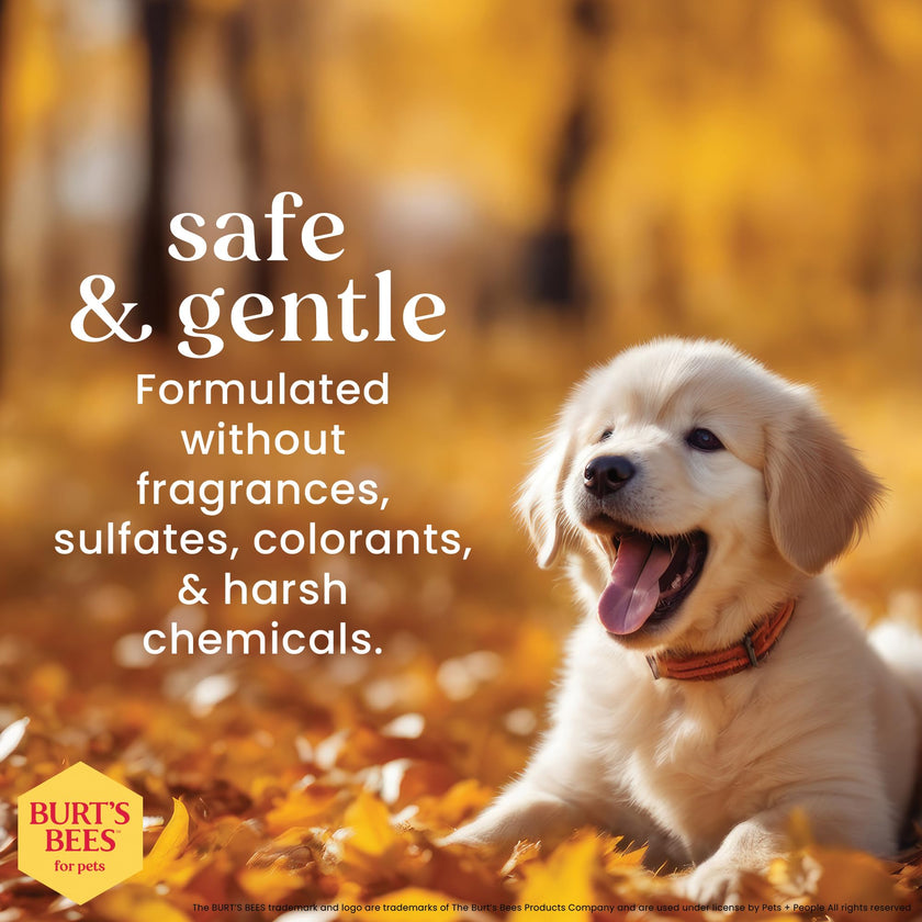 Burt's Bees for Puppies Natural Tearless 2 in 1 Shampoo and Conditioner | Made with Buttermilk and Linseed Oil | Best Tearless Puppy Shampoo for Gentle Skin and Coat | Made in USA, 16 Oz 🍁 All In One Marketplace Canada