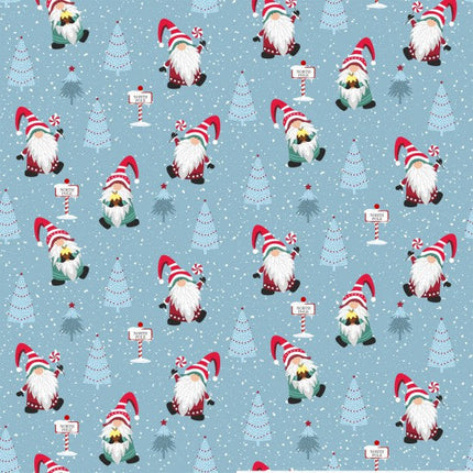 101 North Pole- Winter Gonks- Susan Wheeler