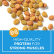 Cat Chow Indoor Dry Cat Food, Real Chicken - 8 kg Bag 🍁 All In One Marketplace Canada