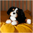 GUND Randle 13-Inch Bernese Mountain Dog Stuffed Animal for Ages 0+ 🍁 All In One Marketplace Canada
