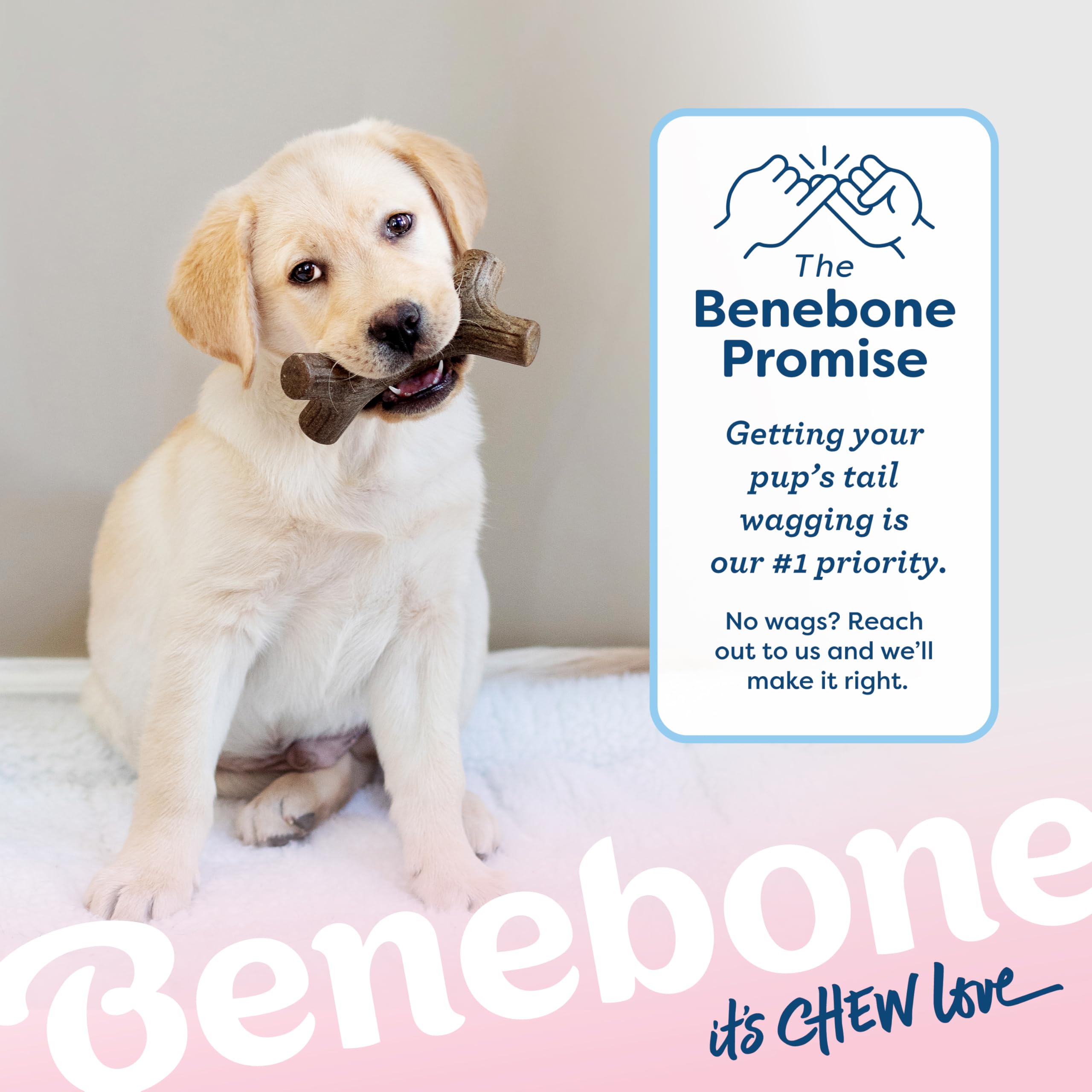 Benebone Puppy 4-Pack Dog Chew Toys for Gentle Chewers, Dog Bones, Small 🍁 All In One Marketplace Canada