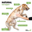 Deley Naturals Probiotics for Dogs - Dog Probiotics Chewable with 6 Digestive Enzymes & 4 Billion CFUs - Probiotic Chews for Dogs Gut Health Diarrhea & Digestion - Digestive Balance Dog Supplements 🍁 All In One Marketplace Canada