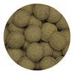 Hikari Tropical Algae Wafers Fish Food for Plecostomus & Algae Eaters, 8.8 oz (250g) 🍁 All In One Marketplace Canada
