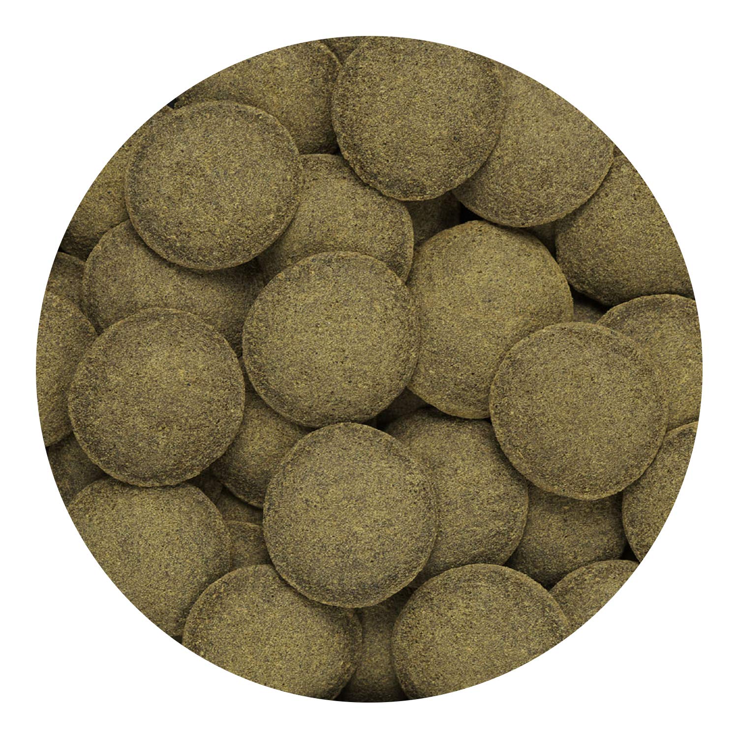 Hikari Tropical Algae Wafers Fish Food for Plecostomus & Algae Eaters, 8.8 oz (250g) 🍁 All In One Marketplace Canada