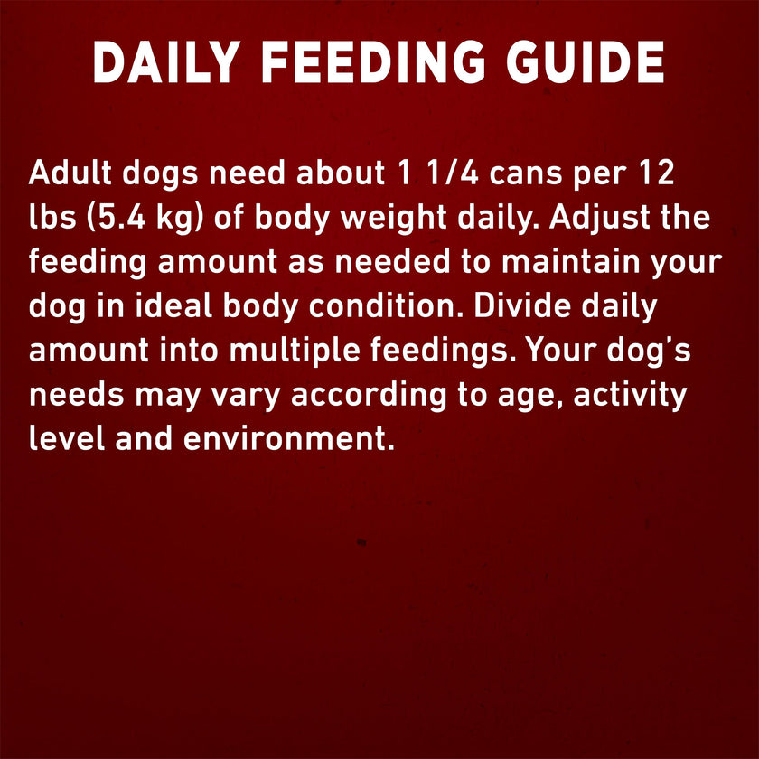 Purina ONE Wet Dog Food, Tender Cuts in Gravy Lamb & Rice 368g (12 Pack) 🍁 All In One Marketplace Canada