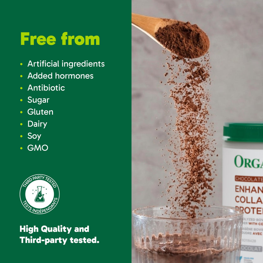 Organika Canadian-Made Chocolate Enhanced Collagen Powder, Grass-Fed with Real Cocoa, Sugar-Free, Healthy Hair, Skin, Nails, Joints, 252 G 🍁 All In One Marketplace Canada