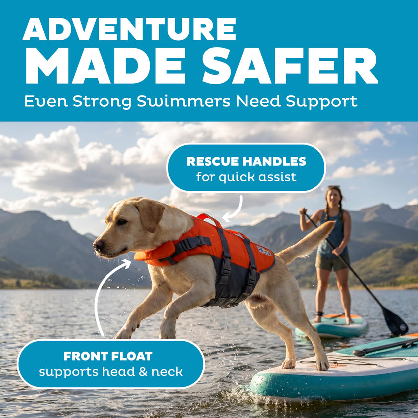 Outward Hound Granby Splash Orange Dog Life Jacket, Large 🍁 All In One Marketplace Canada