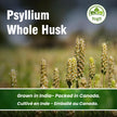 Yogti Whole Psyllium Husk, 912 g 🍁 All In One Marketplace Canada