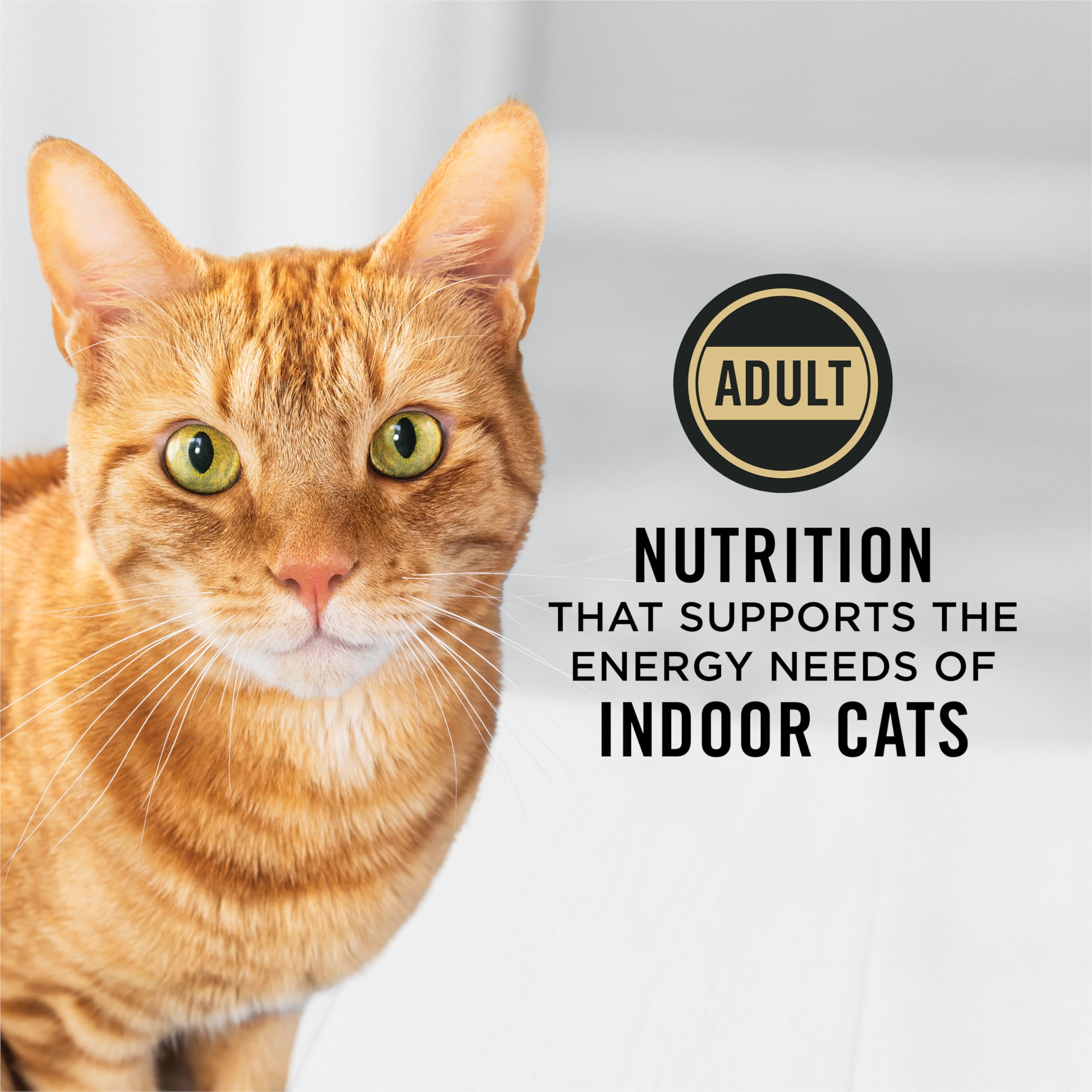 Purina Pro Plan Dry Cat Food, Specialized Indoor Hairball Salmon & Rice - 3.18 kg Bag (1 Pack) 🍁 All In One Marketplace Canada