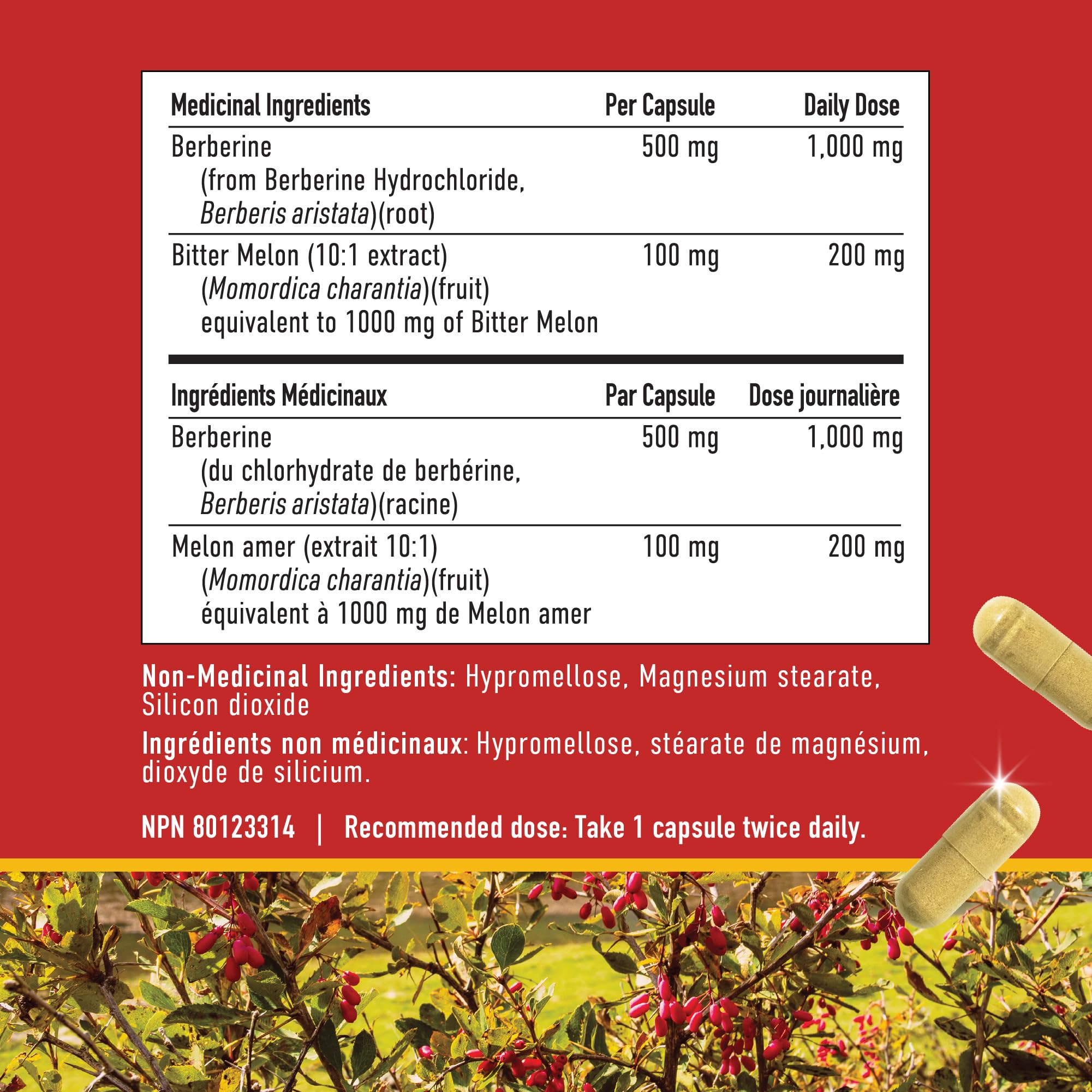 Berberine HCL Supplement | 1000mg | High Potency | Support Glucose Metabolism & Cardiovascular Health | 500mg Per Capsule | With Bitter Melon | Non-GMO, Third-Party Tested | 90 Ct. (45-Day Supply) 🍁 All In One Marketplace Canada